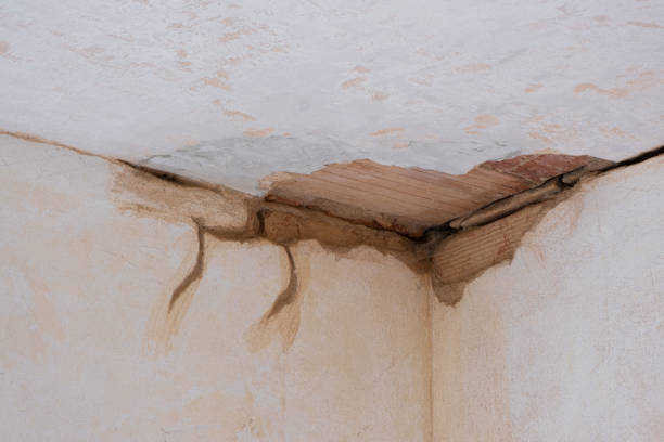 Best Water damage restoration near me  in Lackland Af, TX