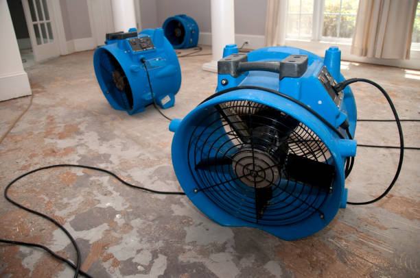 Best Sewage cleanup and water damage restoration  in Lackland Af, TX