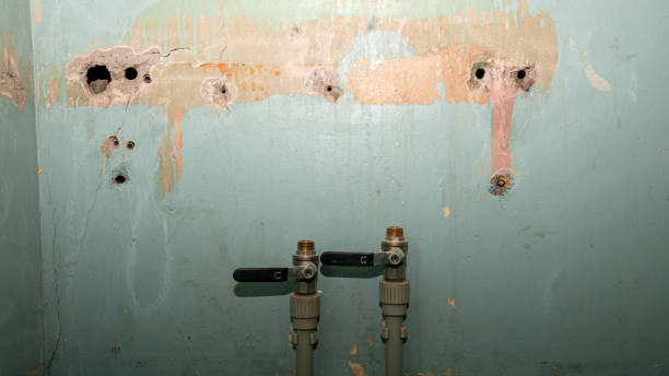 Best Emergency water damage restoration  in Lackland Af, TX