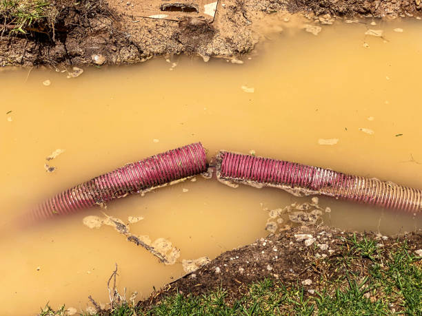 Best Local water damage restoration  in Lackland Af, TX